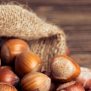 Dieci aziende rappresentano  il Distretto del Cibo del Roero  a Vinum 2026