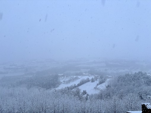 Immagine di repertorio