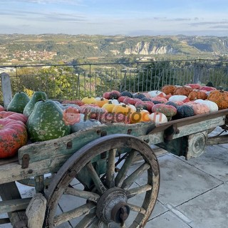I frutti dell'autunno protagonisti di eventi e sagre in tutta la Granda
