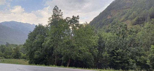 Meteo, l'autunno in Piemonte tra caldo oltre la norma e forti piogge: le previsioni di Arpa Meteo, l'autunno in Piemonte tra caldo oltre la norma e forti piogge: le previsioni di Arpa