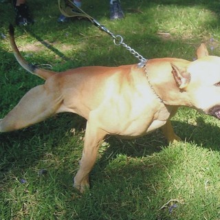 Immagine di repertorio