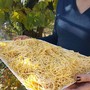 Oggi è il World Pasta Day, per un gusto senza tempo Oggi è il World Pasta Day, per un gusto senza tempo