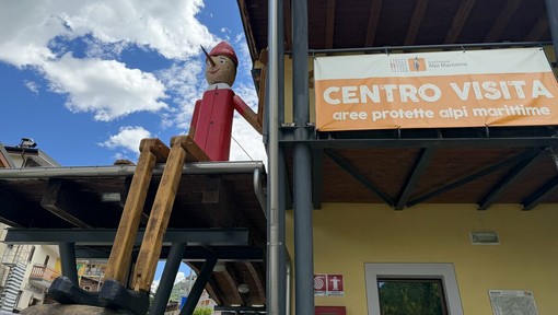 Un nuovo Pinocchio gigante a Vernante: è alto 9 metri Un nuovo Pinocchio gigante a Vernante: è alto 9 metri