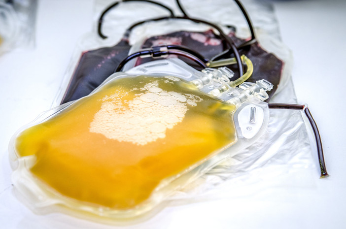 Allarme raccolta plasma, la Regione chiarisce: "In Piemonte nessun pericolo"