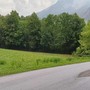L'immagine mostra la strada bagnata dove non ci sono gli alberi a fare da riparo L'immagine mostra la strada bagnata dove non ci sono gli alberi a fare da riparo