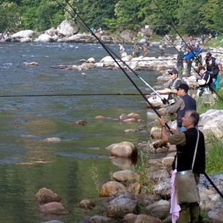 (foto di repertorio)