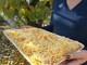 Oggi è il World Pasta Day, per un gusto senza tempo Oggi è il World Pasta Day, per un gusto senza tempo