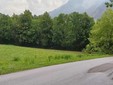 L'immagine mostra la strada bagnata dove non ci sono gli alberi a fare da riparo