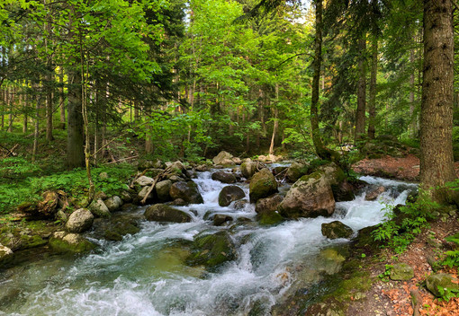 Immagine di repertorio