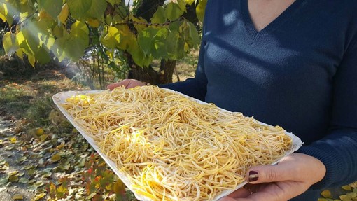 Oggi è il World Pasta Day, per un gusto senza tempo Oggi è il World Pasta Day, per un gusto senza tempo