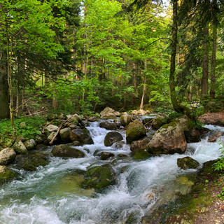 Immagine di repertorio Immagine di repertorio