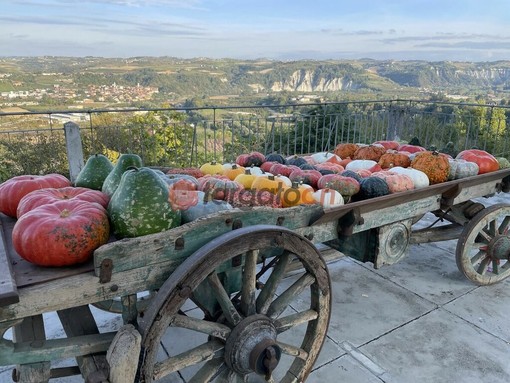 I frutti dell'autunno protagonisti di eventi e sagre in tutta la Granda I frutti dell'autunno protagonisti di eventi e sagre in tutta la Granda