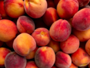 Un’estate di qualità per la frutta piemontese e raccolte promettenti Un’estate di qualità per la frutta piemontese e raccolte promettenti