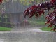 METEO / Prima vera allerta autunnale: domani in arrivo forte maltempo METEO / Prima vera allerta autunnale: domani in arrivo forte maltempo