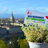 "Fai crescere la solidarietà": a Cuneo e Torino l’associazione LVIA torna nelle piazze con le piantine aromatiche solidali per il Diritto all’acqua in Africa "Fai crescere la solidarietà": a Cuneo e Torino l’associazione LVIA torna nelle piazze con le piantine aromatiche solidali per il Diritto all’acqua in Africa
