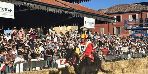 Alba, Palio degli Asini: un evento per tutti, parole d'ordine accessibilità e inclusione Alba, Palio degli Asini: un evento per tutti, parole d'ordine accessibilità e inclusione