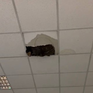 Crolla una porzione di soffitto ai licei di Mondovì [VIDEO]