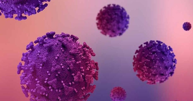 Giornata Mondiale contro il Papilloma Virus: le iniziative delle ASL cuneesi