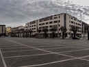 In piazza Carlo Alberto si svolgerà "Piazza Coldiretti" In piazza Carlo Alberto si svolgerà "Piazza Coldiretti"