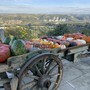 I frutti dell'autunno protagonisti di eventi e sagre in tutta la Granda I frutti dell'autunno protagonisti di eventi e sagre in tutta la Granda