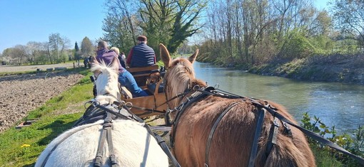 Bra è tappa del Paradriving Piemonte 2026, per superare la disabilità a cavallo Bra è tappa del Paradriving Piemonte 2026, per superare la disabilità a cavallo