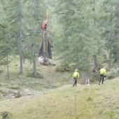 Briga Alta, i Vigili del Fuoco salvano un bovino ferito a una zampa