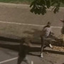 Dopo le notti di violenza, la Granda si interroga: più regole o più analisi sociale?