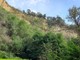 Il Museo Craveri di Bra propone un’escursione lungo la Rocca del Serro