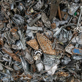 Spariscono le lampadine, aumentano i pannelli fotovoltaici: la società che cambia si riflette anche nella raccolta rifiuti Spariscono le lampadine, aumentano i pannelli fotovoltaici: la società che cambia si riflette anche nella raccolta rifiuti