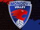 VOLLEY FEMMINILE / Mondovì, entro il 3 luglio il verdetto sul ripescaggio in A3
