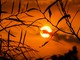 Notte rovente nella Granda: l'anticiclone non dà tregua, temperature inchiodate sopra i 20 gradi all'alba. Anche oggi attesi 35° Notte rovente nella Granda: l'anticiclone non dà tregua, temperature inchiodate sopra i 20 gradi all'alba. Anche oggi attesi 35°