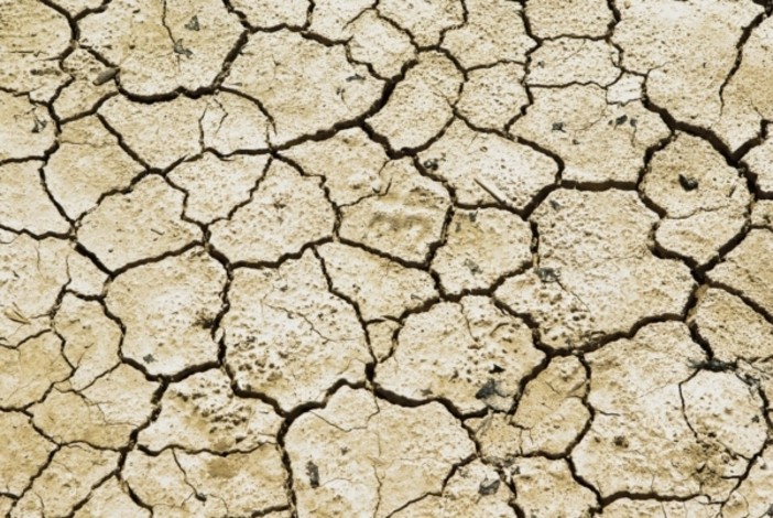 Confagricoltura Piemonte: più risorse per credito agrario e cooperative contro la siccità Confagricoltura Piemonte: più risorse per credito agrario e cooperative contro la siccità