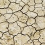 Confagricoltura Piemonte: più risorse per credito agrario e cooperative contro la siccità Confagricoltura Piemonte: più risorse per credito agrario e cooperative contro la siccità