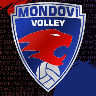 VOLLEY FEMMINILE / Mondovì, entro il 3 luglio il verdetto sul ripescaggio in A3