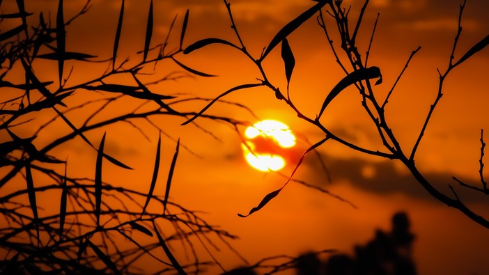 Notte rovente nella Granda: l'anticiclone non dà tregua, temperature inchiodate sopra i 20 gradi all'alba. Anche oggi attesi 35° Notte rovente nella Granda: l'anticiclone non dà tregua, temperature inchiodate sopra i 20 gradi all'alba. Anche oggi attesi 35°