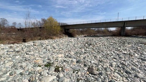 Siccità, Coldiretti Cuneo: "Corsi d'acqua cuneesi fino a -70% della portata" Siccità, Coldiretti Cuneo: "Corsi d'acqua cuneesi fino a -70% della portata"