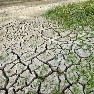 Siccità, Coldiretti Cuneo: l'emergenza continua, serve un confronto in regione