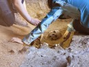 Sepolta ai margini: dagli scavi di Aisone i resti di una donna di 500 anni fa