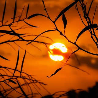 Notte rovente nella Granda: l'anticiclone non dà tregua, temperature inchiodate sopra i 20 gradi all'alba. Anche oggi attesi 35°