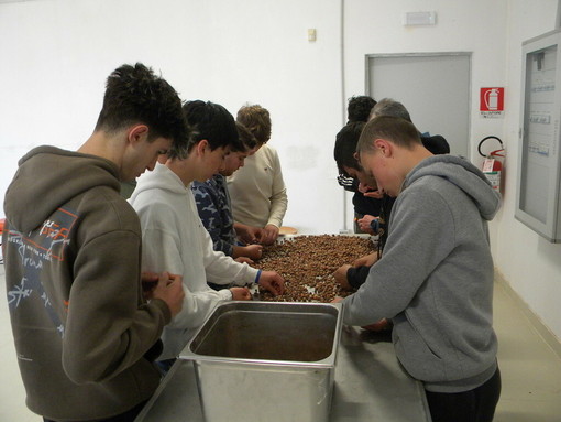 L'Istituto Agrario di Grinzane Cavour trasforma le nocciole in lezioni di sostenibilità L'Istituto Agrario di Grinzane Cavour trasforma le nocciole in lezioni di sostenibilità