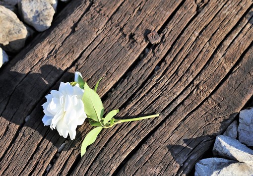 Dopo un suicidio, “chi resta” non deve essere lasciato solo: la risposta de La Voce di Elisa Dopo un suicidio, “chi resta” non deve essere lasciato solo: la risposta de La Voce di Elisa