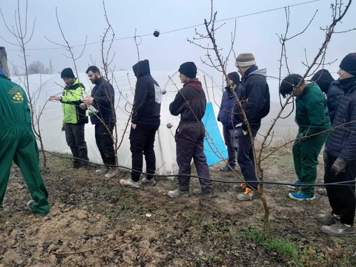 Dalla potatura al futuro: la Scuola Agraria di Grinzane coltiva le competenze delle nuove generazioni
