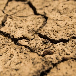 Confagricoltura: “Emergenza siccità in Piemonte, si dichiari lo stato di calamità naturale”