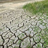Siccità, Coldiretti Cuneo: l'emergenza continua, serve un confronto in regione Siccità, Coldiretti Cuneo: l'emergenza continua, serve un confronto in regione