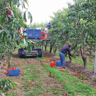 Immagine di repertorio