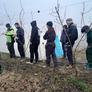 Dalla potatura al futuro: la Scuola Agraria di Grinzane coltiva le competenze delle nuove generazioni Dalla potatura al futuro: la Scuola Agraria di Grinzane coltiva le competenze delle nuove generazioni