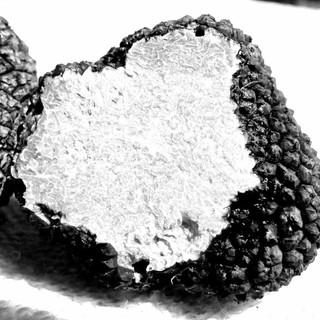 Fiera del Tartufo di Alba: turismo enogastronomico e opportunità per chi affitta casa