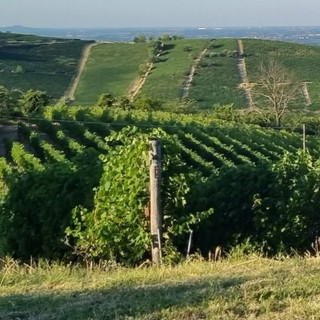L'estate del turismo di prossimità in Langa, Roero e Monferrato per un ritorno alle radici