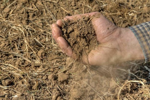 Siccità, Confagricoltura Cuneo: “Non è più un’emergenza, ma una criticità strutturale per l’intero comparto agricolo”