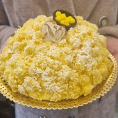 L’8 marzo in un piatto: dalla pasta alla Norma alla Margherita, fino alla torta Mimosa